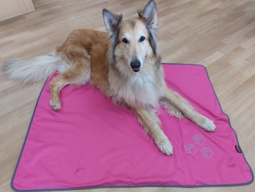 Preview: Liegedecke Indoor