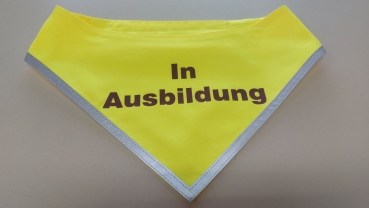 Preview: Hundehalstuch MIT Aufschrift, Sonderpreis, Halstuch für Hunde, Halstuch mit Flex-Aufschrift,