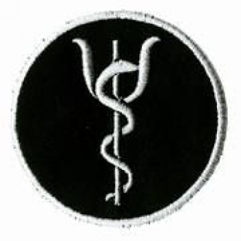 Fachdienstabzeichen Notfallnachsorge Art. 786