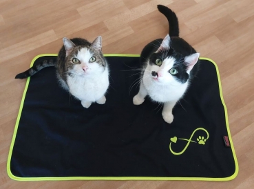 Preview: Liegedecke Indoor