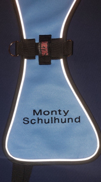 2-ZEILIGE BESTICKUNG für Kenndecken, NUR AUFSCHRIFT, individuelle Beschriftung für Hundewesten, 2-zeiliger Sondertext,