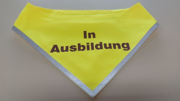 Hundehalstuch MIT Aufschrift, Sonderpreis, Halstuch für Hunde, Halstuch mit Flex-Aufschrift,