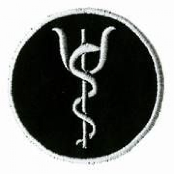 Fachdienstabzeichen Notfallnachsorge Art. 786